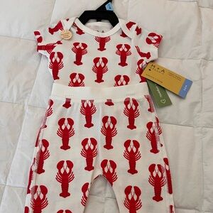 NWT M+A by Monica + Andy Organic Cotton Baby First Moves Set, 3-6 Months